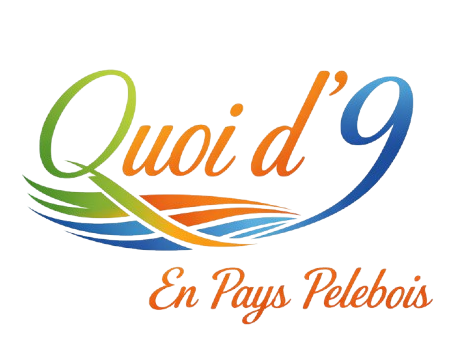 Le Quoi d’9 en pays pelebois n° 49 est paru
